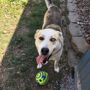 Meet your Posher, Aaron